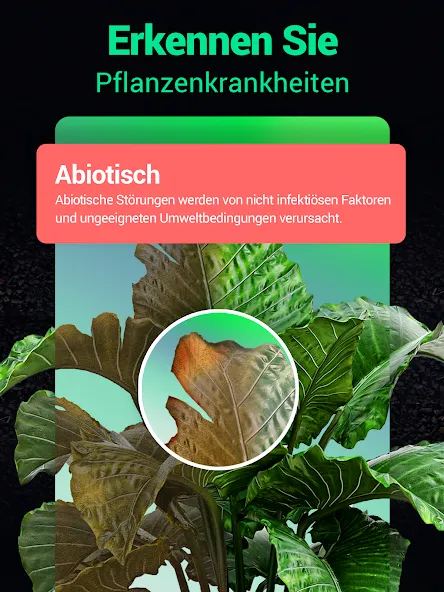 Plantum - Pflanzen bestimmen screenshot 10