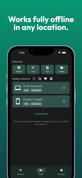 LocalSend: Transfer Files screenshot 3
