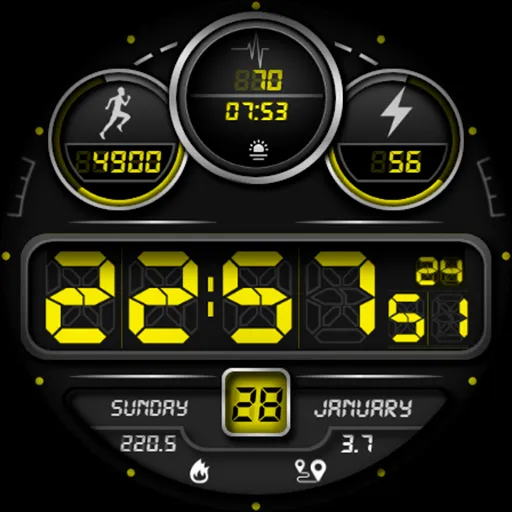 Digistaff V screenshot 21