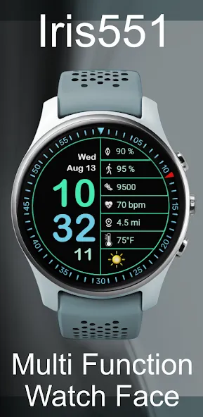 Iris551 Multi-Function Digital screenshot 2