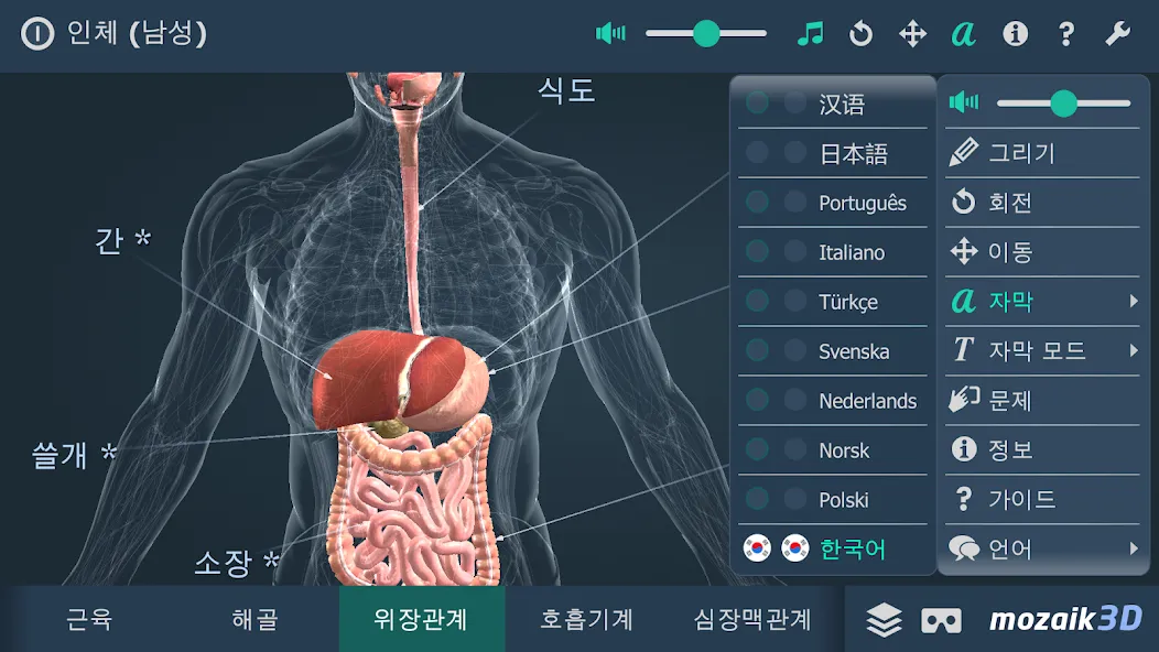 인체 (남성) screenshot 6