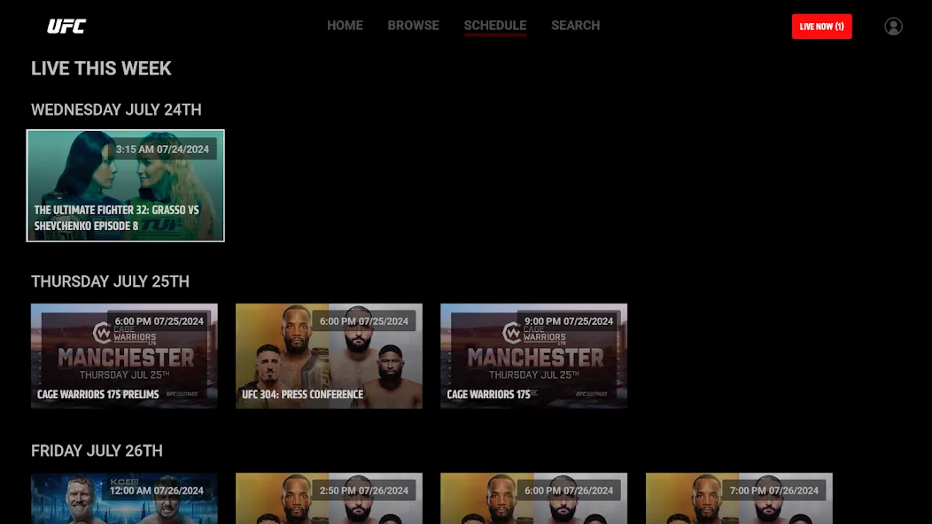 UFC screenshot 21