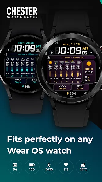 Chester Weather info v2 screenshot 2
