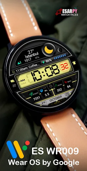 ES WR009 screenshot 4