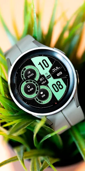 Digital Lunor WS1 Watch Face screenshot 4