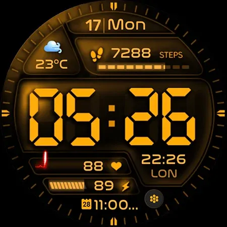ML2U 229 Watch Face screenshot 28
