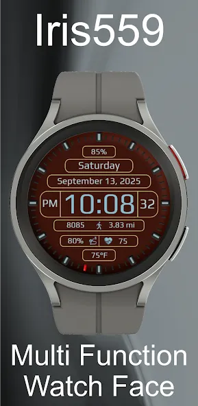 Iris559 Multi-Function Digital screenshot 18