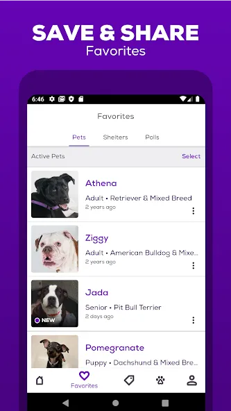 Petfinder - Adopt a Pet screenshot 4