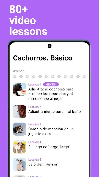 EveryDoggy-entrenamiento perro screenshot 5