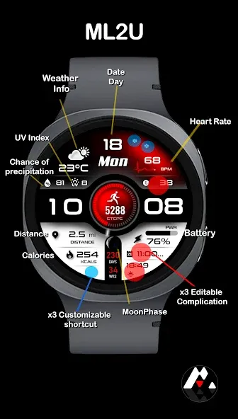 ML2U 293 Watch Face screenshot 2