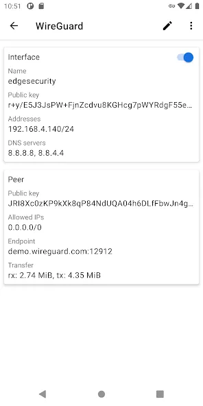 WireGuard screenshot 2