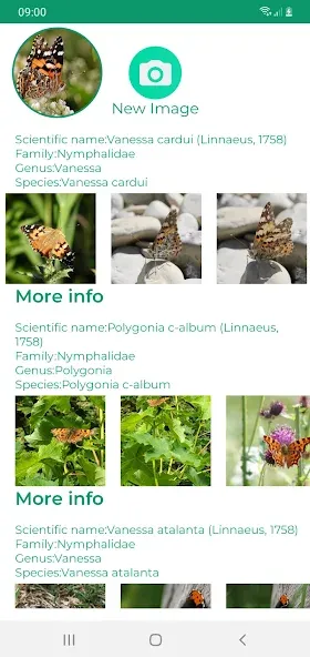 Insektenidentifikator screenshot 11