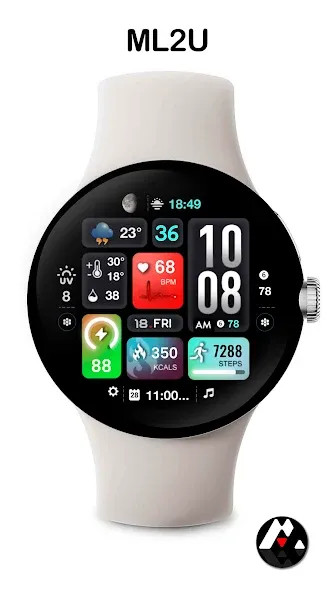 ML2U 242 Watch Face screenshot 5