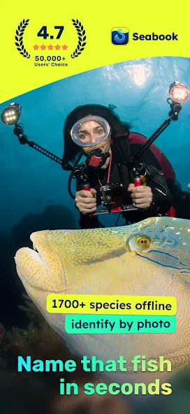 Fish IdentifierㆍScuba Dive Log screenshot 1