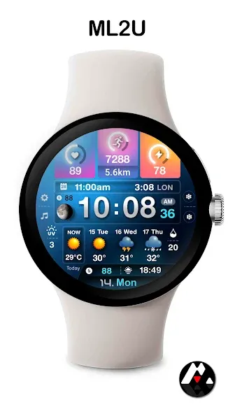 ML2U 243 Watch Face screenshot 1