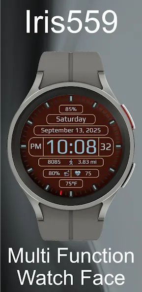 Iris559 Multi-Function Digital screenshot 10