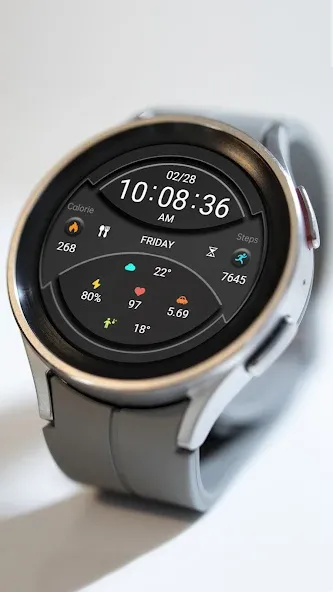 ZKin Watch Dark Gray Component screenshot 6