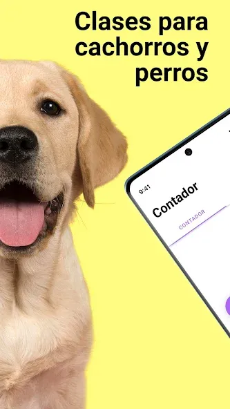 EveryDoggy-entrenamiento perro screenshot 2