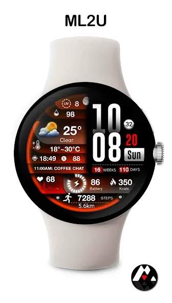 ML2U 239 Watch Face screenshot 3