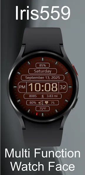 Iris559 Multi-Function Digital screenshot 3