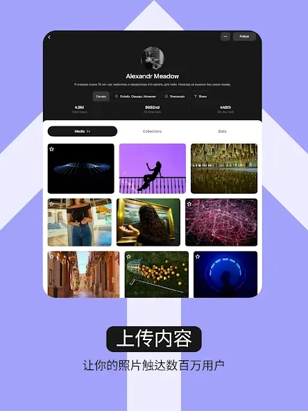 Pexels screenshot 9