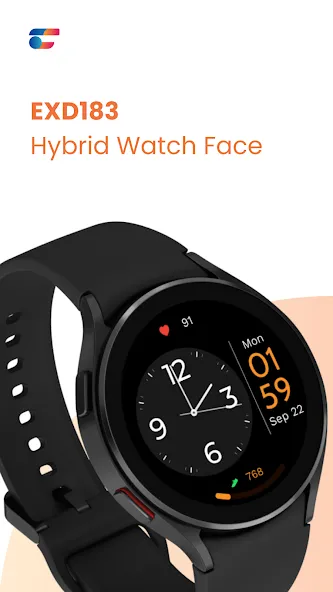 EXD183: Hybrid Watch Face screenshot 1