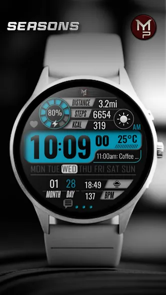 SEASONS - Digital Watch Face screenshot 5