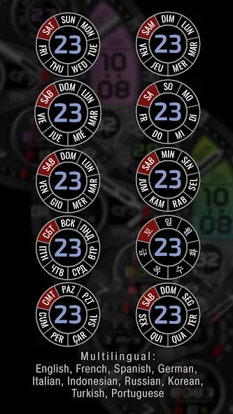 CFS111 Digital screenshot 3