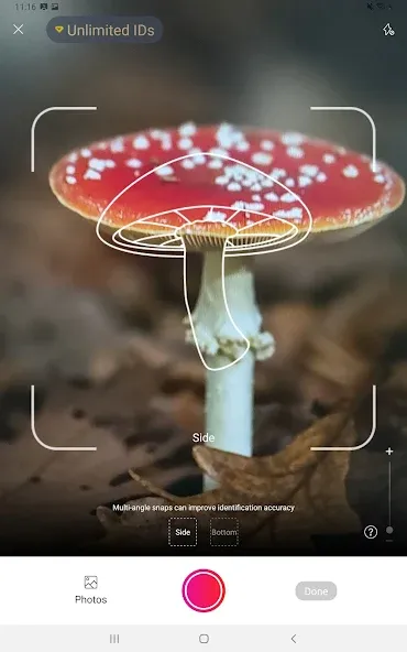 Picture Mushroom - Mushroom ID screenshot 6