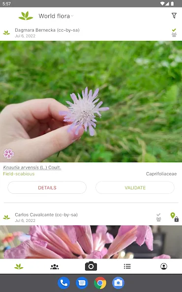 PlantNet Plant Identification screenshot 8
