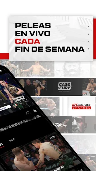UFC screenshot 2