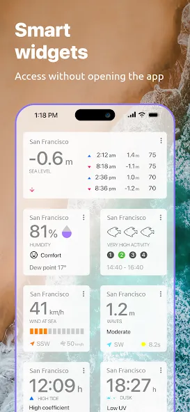 Nautide: Tides, Wind, Waves + screenshot 10