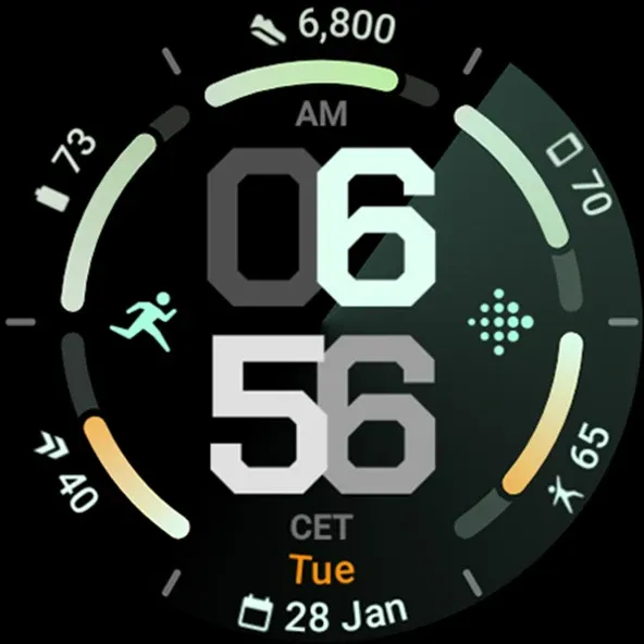 Radial Watch Face screenshot 9