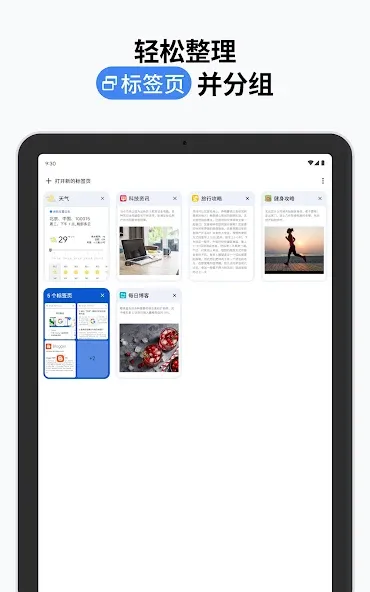 Google Chrome 浏览器 screenshot 20