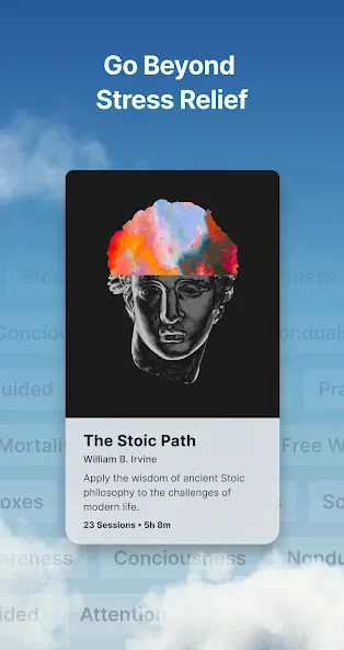 Waking Up: Meditation & Wisdom screenshot 4