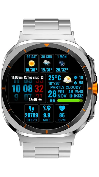 Weather hours and days NTV600 screenshot 13