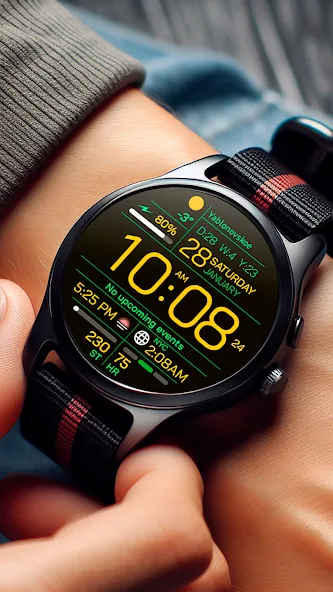 Chester Inform watch face screenshot 4