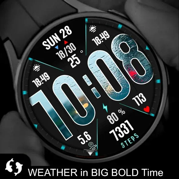 WEATHER in Big Bold Time ECO64 screenshot 3