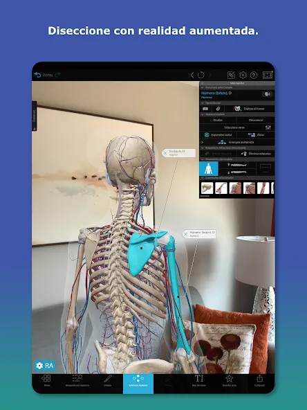 Atlas de anatomía humana 2026 screenshot 10