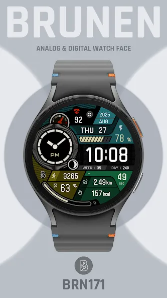 BRN171 - DIGIO screenshot 2