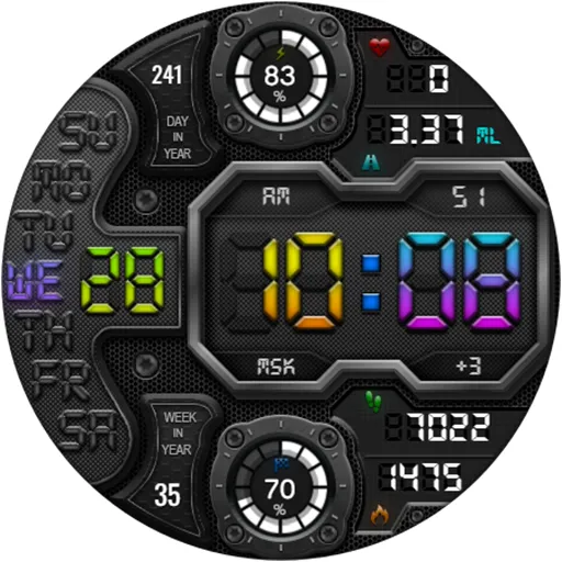 DIGI RAPANS WS24 Watch face screenshot 23