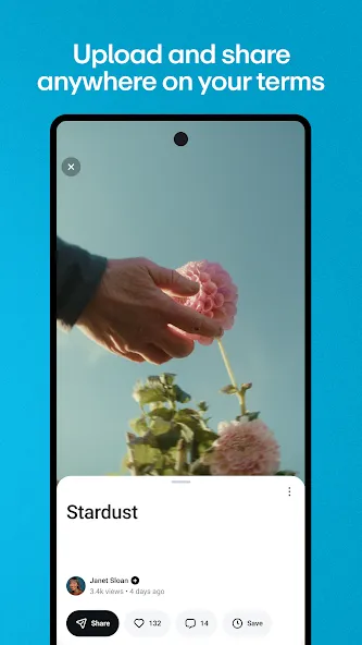 Vimeo screenshot 2