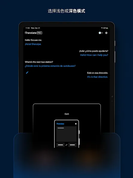 iTranslate 翻译 screenshot 14