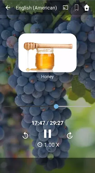 미국 영어를 배우십시오. 미국 영어로 말하십시오. screenshot 3