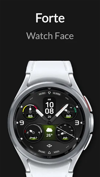 Forte: Hybrid Watch Face screenshot 4