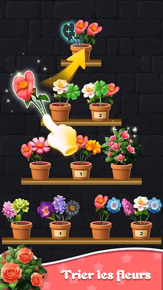Tri Fleurs 3D : Floraison screenshot 4