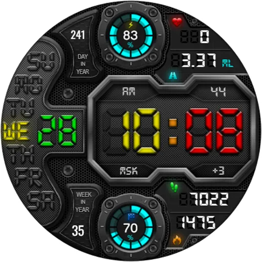 DIGI RAPANS WS24 Watch face screenshot 20