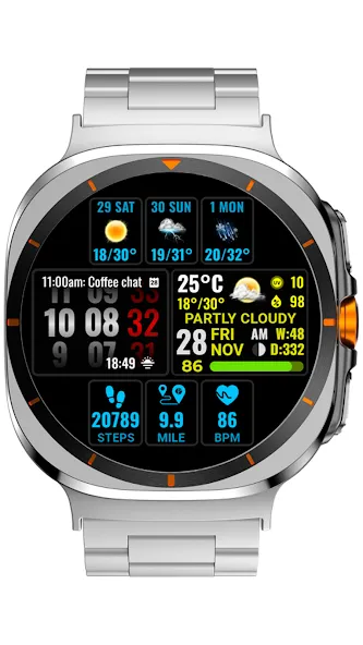 Weather hours and days NTV600 screenshot 3