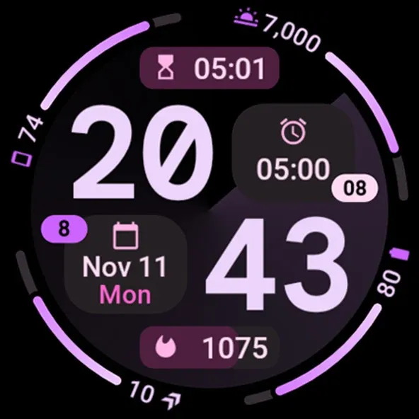 Pioneer Watch Face screenshot 13