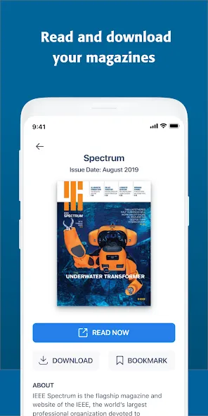 IEEE screenshot 5